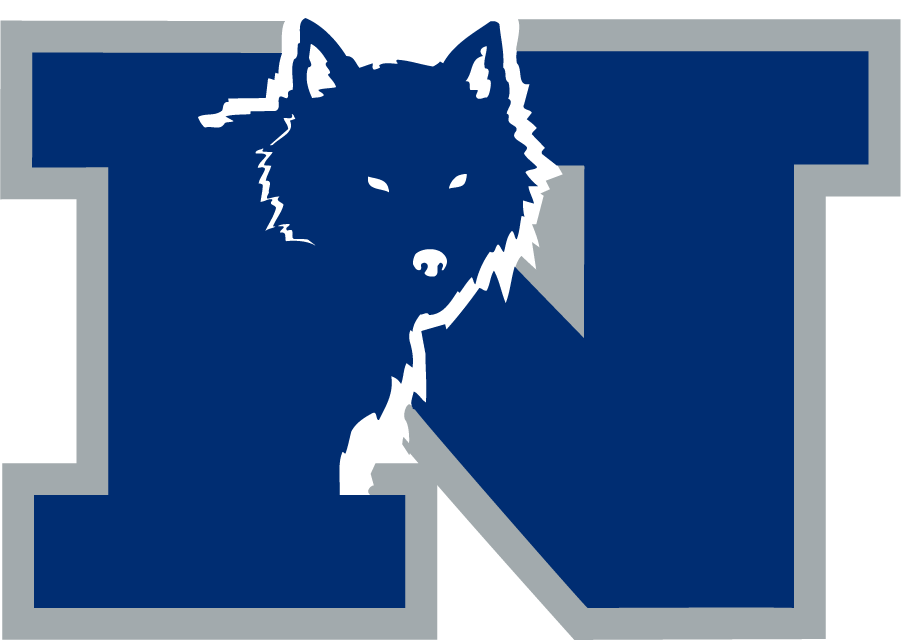 Nevada Wolf Pack 1993-2002 Secondary Logo diy iron on heat transfer
